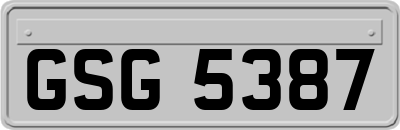 GSG5387