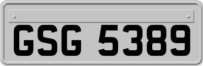 GSG5389