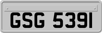 GSG5391
