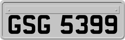 GSG5399