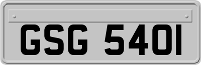 GSG5401