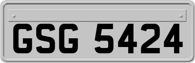 GSG5424