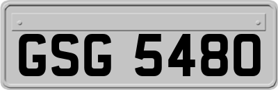 GSG5480