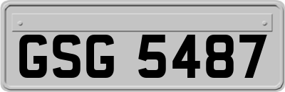 GSG5487