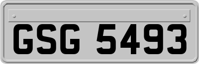 GSG5493