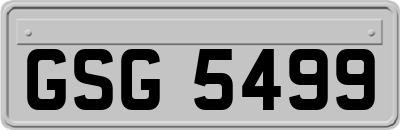 GSG5499