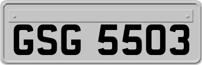GSG5503