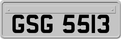 GSG5513