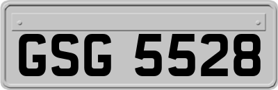 GSG5528
