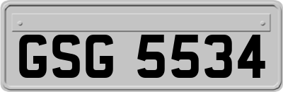 GSG5534