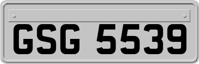 GSG5539
