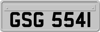 GSG5541