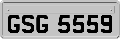 GSG5559