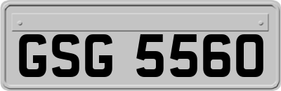 GSG5560