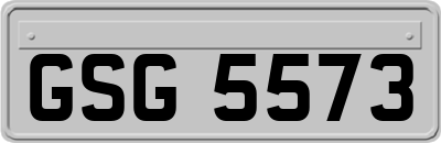 GSG5573