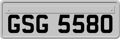 GSG5580