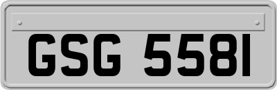 GSG5581