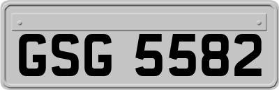 GSG5582