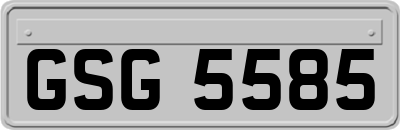 GSG5585