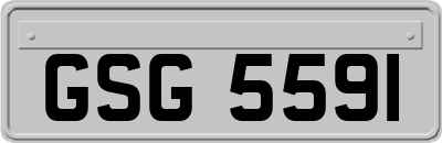 GSG5591