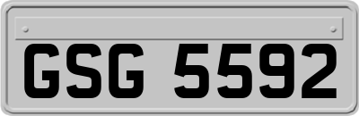 GSG5592