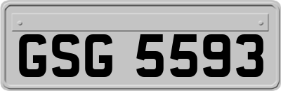 GSG5593