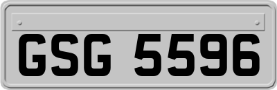 GSG5596