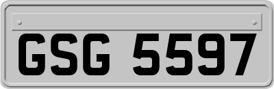 GSG5597