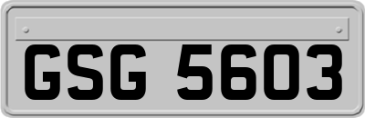 GSG5603