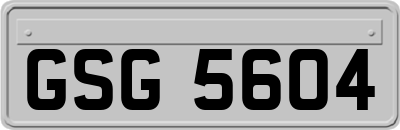 GSG5604