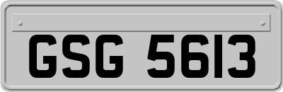 GSG5613