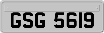 GSG5619