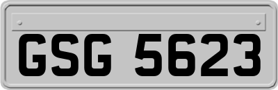 GSG5623