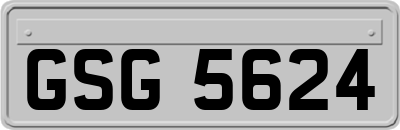 GSG5624