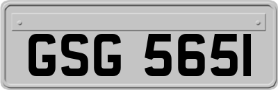 GSG5651
