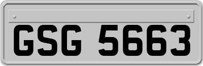 GSG5663