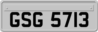 GSG5713