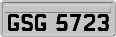 GSG5723