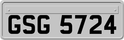 GSG5724