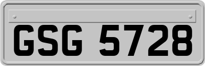 GSG5728