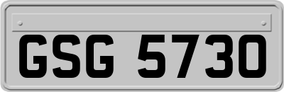 GSG5730