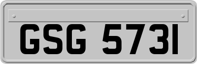 GSG5731