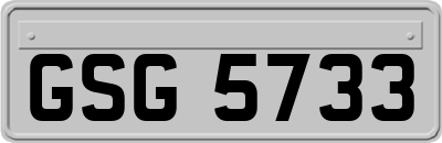 GSG5733