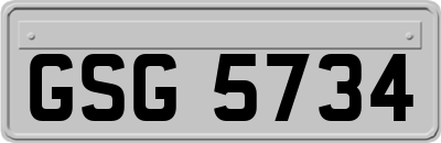 GSG5734