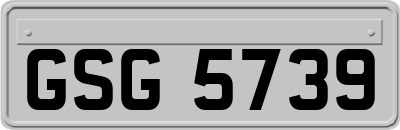 GSG5739