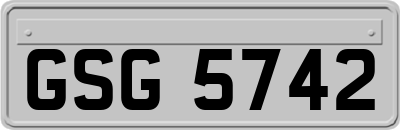 GSG5742
