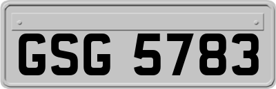 GSG5783