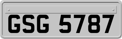 GSG5787
