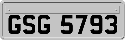 GSG5793