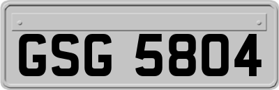 GSG5804
